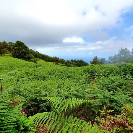 Ferienhaus Canarian House Casa Esther In Icod De Vinos