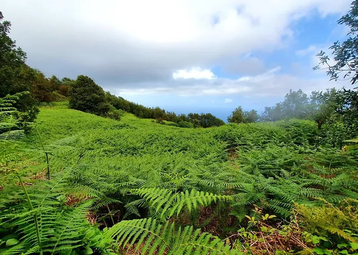 Holiday home Canarian House Casa Esther In Icod De Vinos