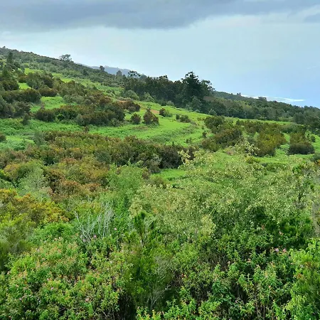 Canarian House Casa Esther In Icod De Vinos Σπίτι διακοπών *