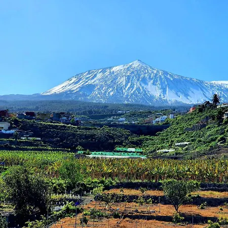 Canarian House Casa Esther In Icod De Vinos * Icod De Los Vinos
