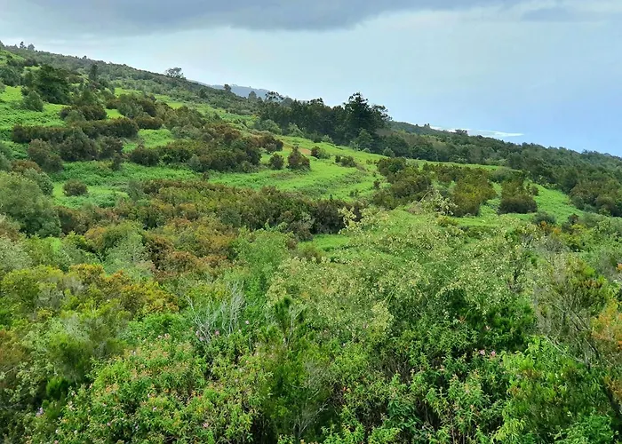 Canarian House Casa Esther In Icod De Vinos 別荘 *
